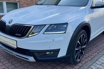 Skoda Octavia 293.181 km 10.499 &euro; Schönebeck/Elbe 39218