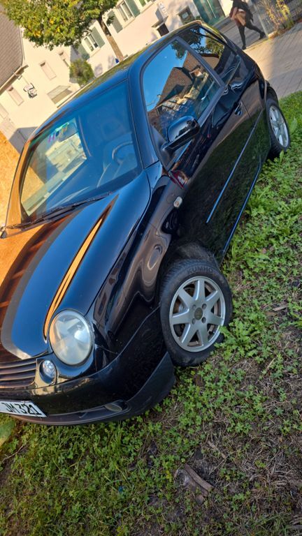 Lupo