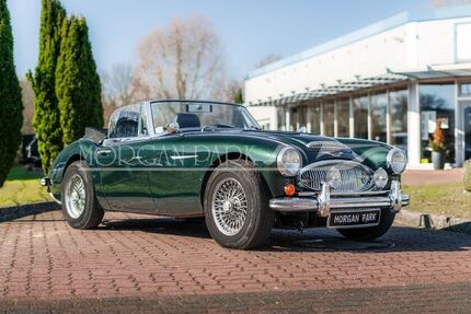Austin Healey Andere