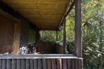 Bungalow Tuttlingen - 9 Zimmer, 206 m&sup2;, 520.000&euro; | Angebot:25733265