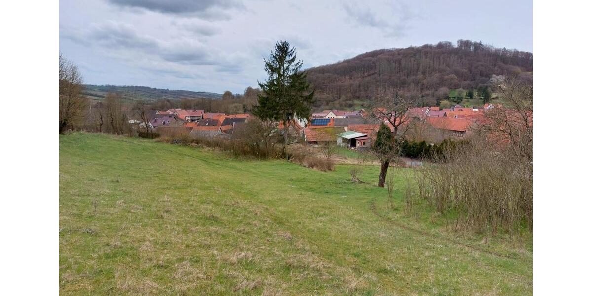 Einfamilienhaus Sangerhausen - 35.500&euro; | Angebot:26120506