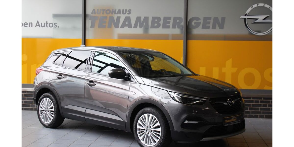 Opel Grandland (X) 135.300 km 16.500 &euro; Mettingen 49497