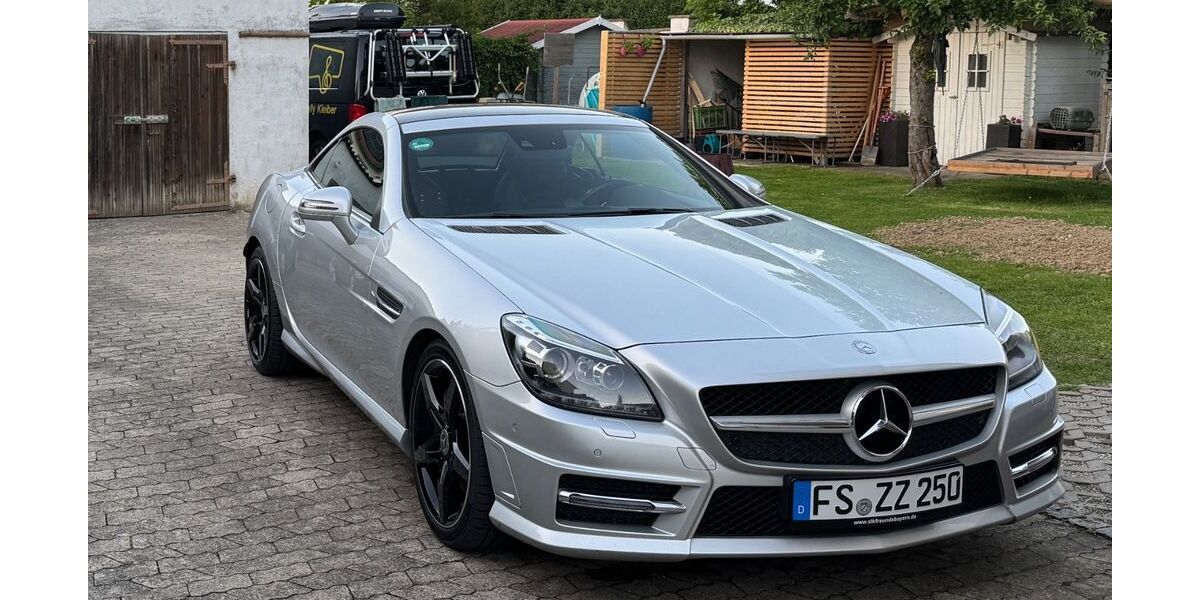 Mercedes-Benz SLK 250 168.250 km 16.900 &euro; Nandlstadt 85405