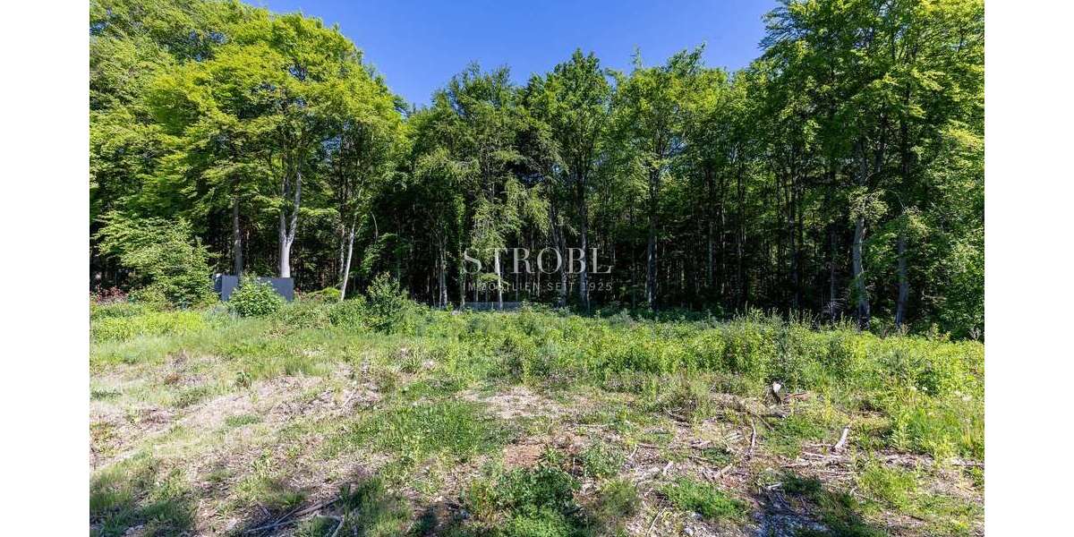 Grundstück Straßlach-Dingharting Dingharting - 4.690.000&euro; | Angebot:17687315