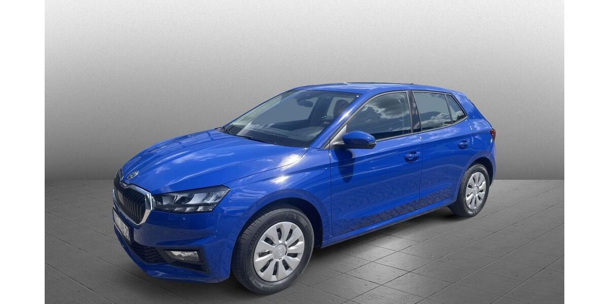 Skoda Fabia 4.900 km 18.480 &euro; Diez 65582