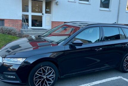 Skoda Octavia 96.000 km 17.750 &euro; Evessen 38173