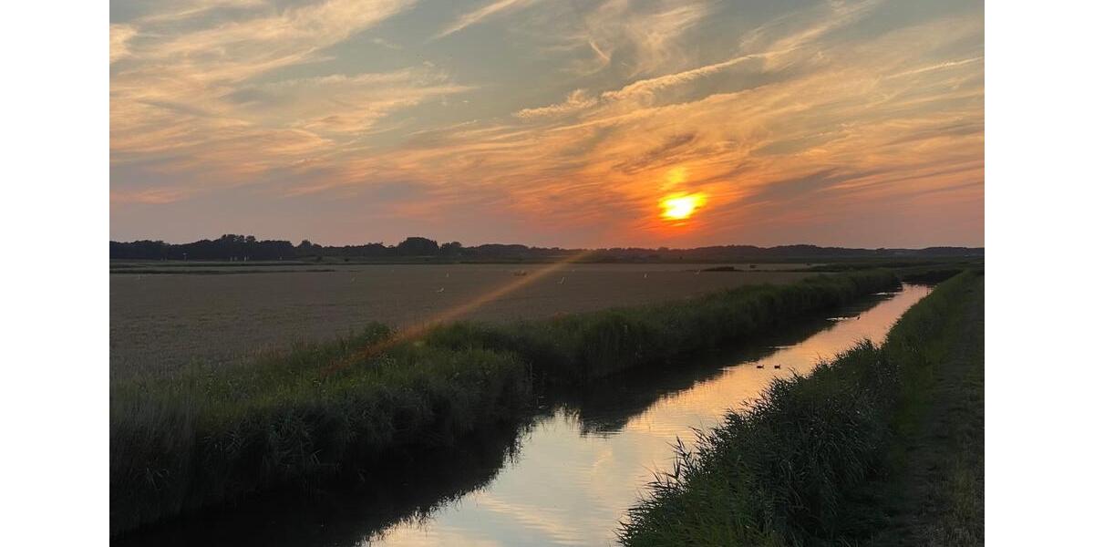 Etagenwohnung Rees - 1 Zimmer, 85 m&sup2;, 800&euro; | Angebot:25514448