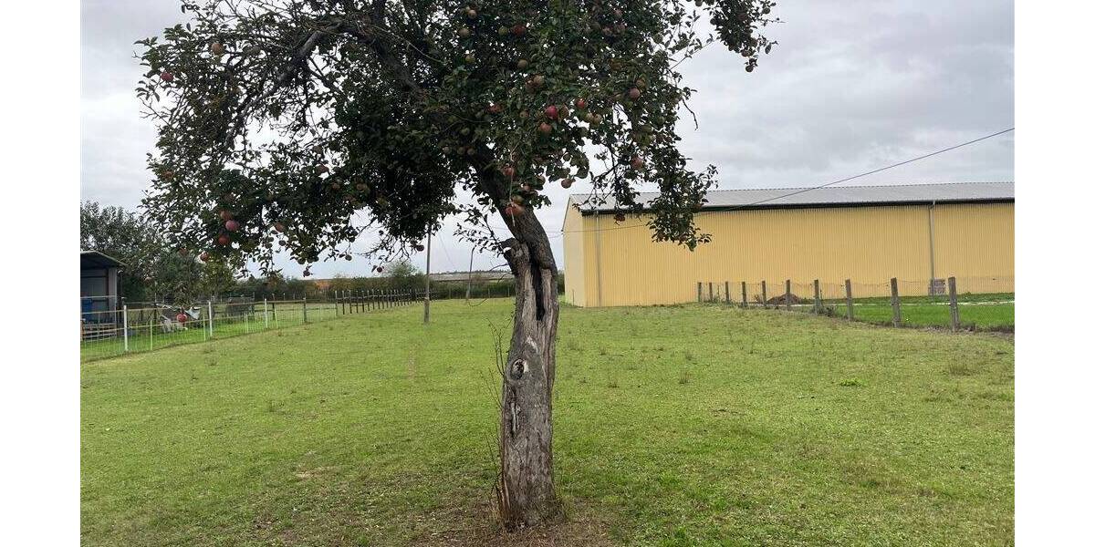 Grundstück Nichtewitz Nichtewitz - 20.000&euro; | Angebot:25679415