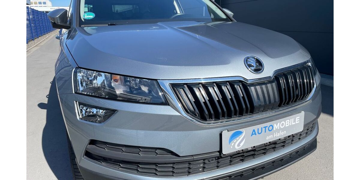 Skoda Karoq 112.000 km 14.490 &euro; Münster 48155