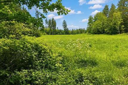 Grundstück Schwarzenbach an der Saale Fletschenreuth - 38.500&euro; | Angebot:26988055