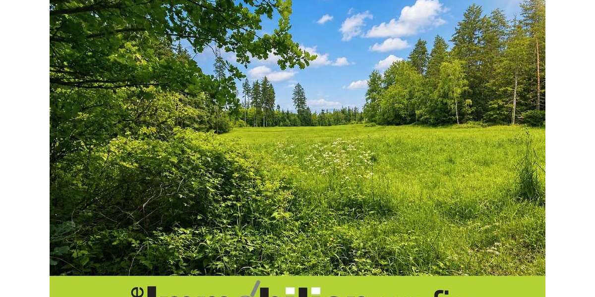 Grundstück Schwarzenbach an der Saale Fletschenreuth - 38.500&euro; | Angebot:26988055