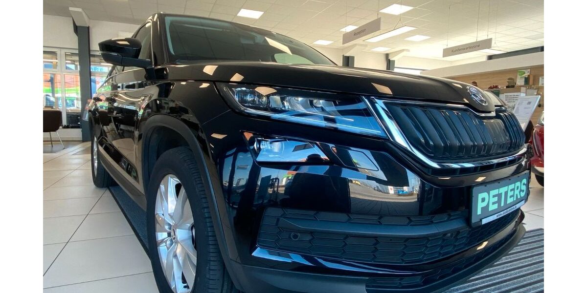 Skoda Kodiaq 92.540 km 20.660 &euro; Barth 18356