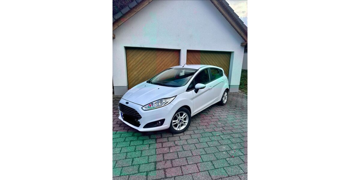 Ford Fiesta 150.000 km 4.200 &euro; Salz 56414