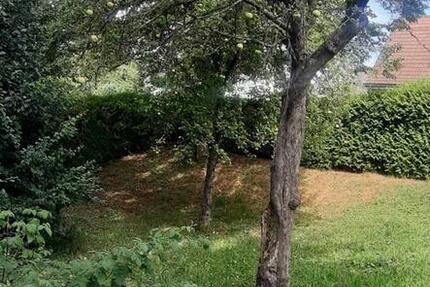 Haus zu vermieten 3 zimmer