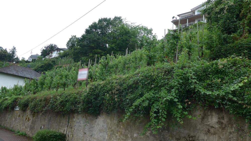 Grundstück Alf - 65.300&euro; | Angebot:25692937