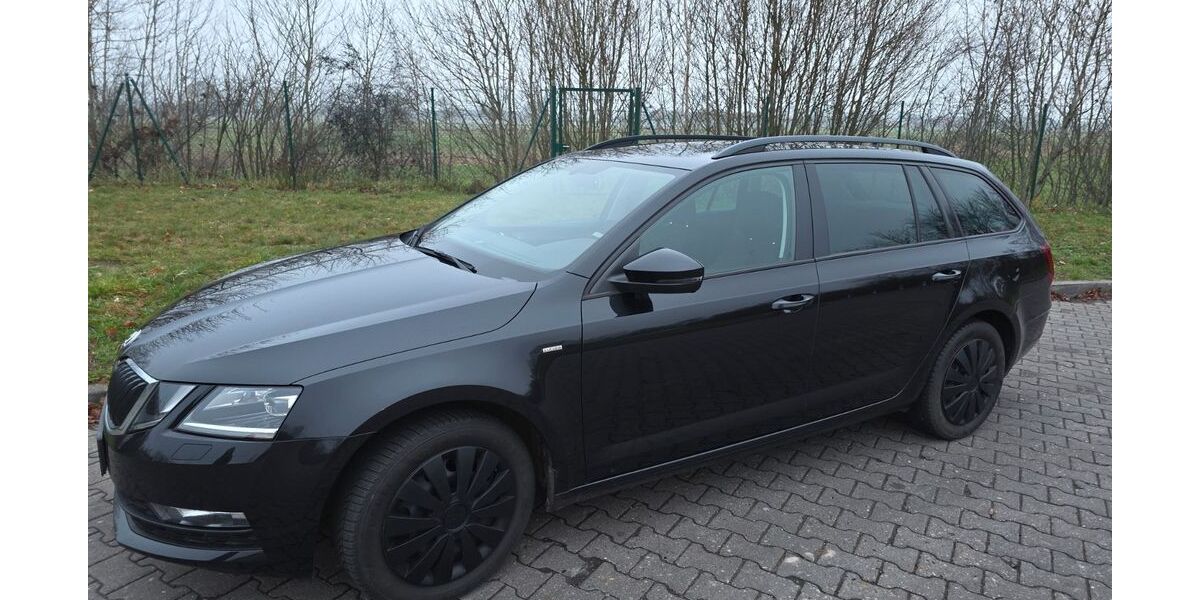 Skoda Octavia 162.500 km 11.000 &euro; Pätow 19230