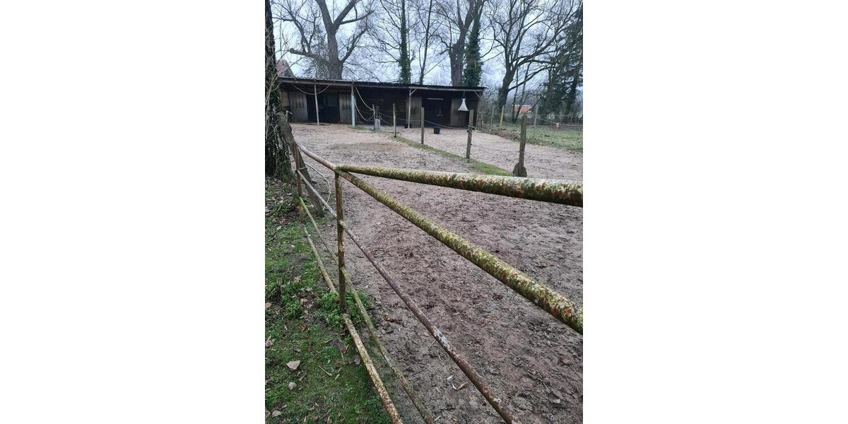 Bauernhaus, Landhaus Drensteinfurt - 6 Zimmer, 300 m&sup2;, 1.600&euro; | Angebot:24755206