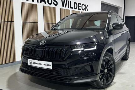 Skoda Karoq 97.200 km 28.590 &euro; Abstatt 74232