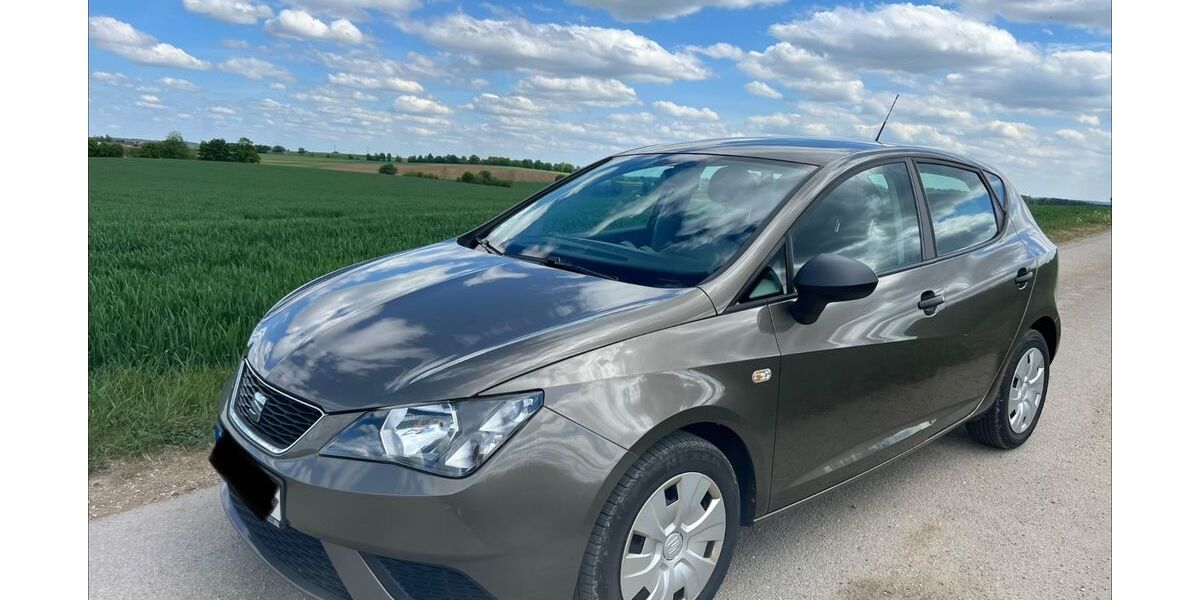 Seat Ibiza 104.065 km 8.000 &euro; Unterteuerting 93342