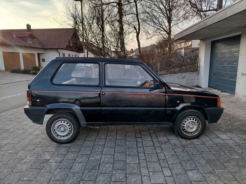 Panda