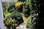 **RESERVIERT** Freistehendes Einfamilienhaus mit Gartenidylle in Seeheim-Jugenheim - Einfamilienhaus Seeheim-Jugenheim Bergstraße | Angebot:26286081