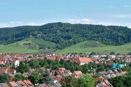 Wohnung zum Mieten in Fellbach 580 € 27 m²