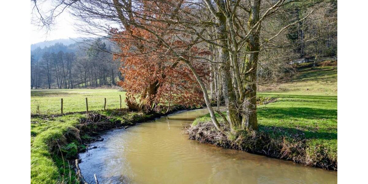 Gewerbeobjekt Wald-Michelbach / Unter-Schönmattenwag Unter-Schönmattenwag - 250.000&euro; | Angebot:25660930