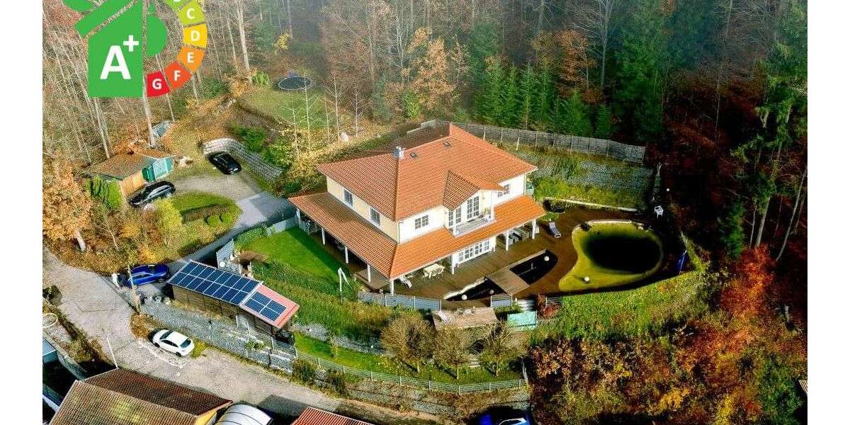 Einfamilienhaus Deggendorf - 13 Zimmer, 288 m&sup2;, 2.990.000&euro; | Angebot:26283964