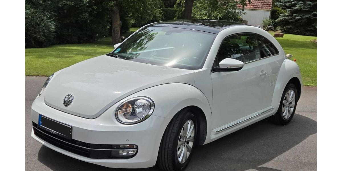 VW Beetle 124.000 km 8.999 &euro; Brandis 04821