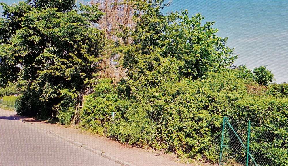 BAUTRÄGERFREIES GRUNDSTÜCK IN HÖNOWBIRKENSTEIN - Grundstück Hoppegarten | Angebot:19837993