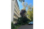 Etagenwohnung Dallgow-Döberitz Döberitz - 2 Zimmer, 52 m&sup2;, 1.490&euro; | Angebot:25723335