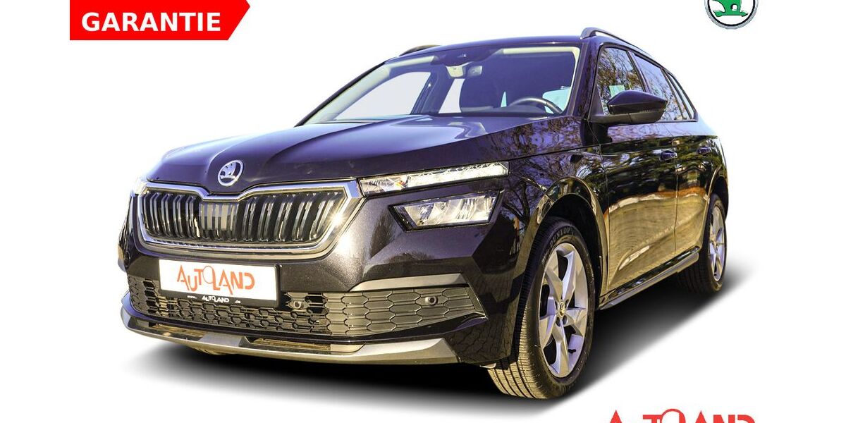 Skoda Kamiq 33.869 km 20.950 &euro; Brehna 06796