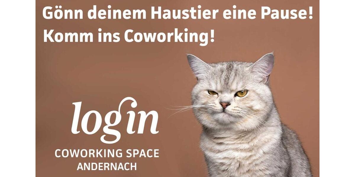 Gewerbeobjekt Andernach - 199&euro; | Angebot:25715596