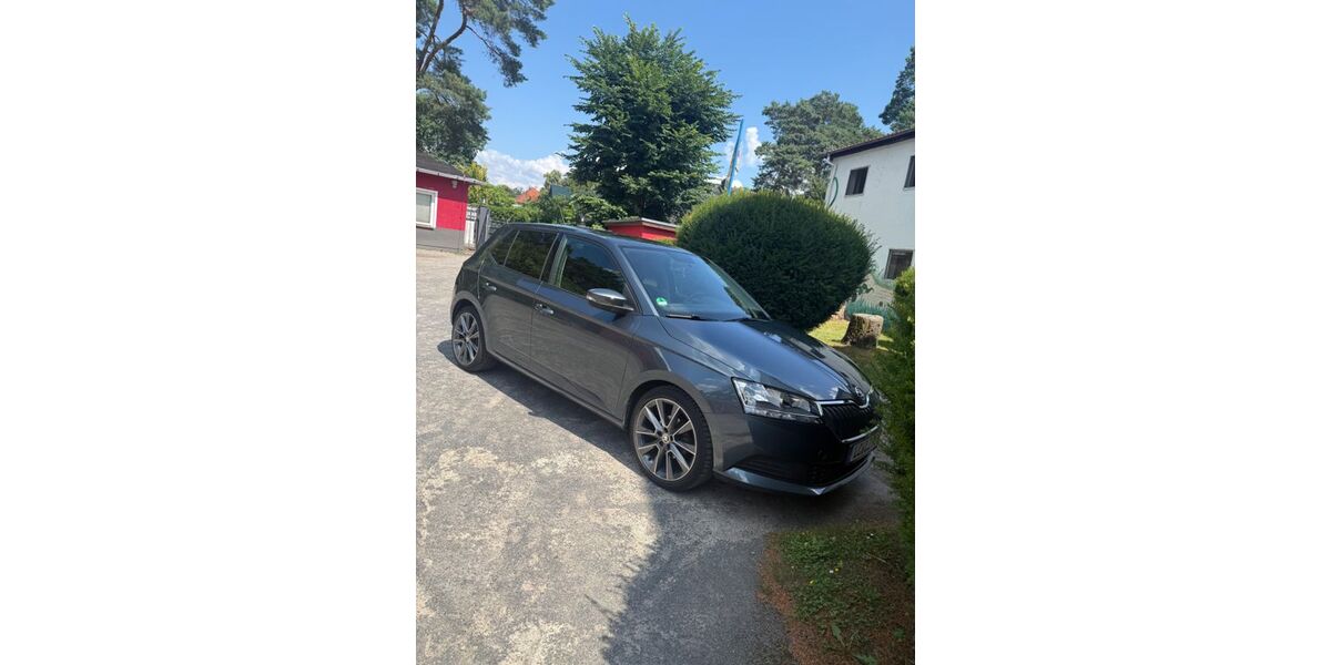 Skoda Fabia 55.000 km 10.999 &euro; Heidesee 15754