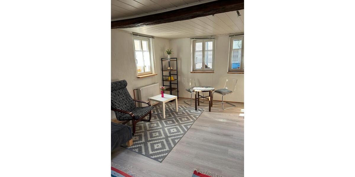 Etagenwohnung Hofheim am Taunus - 1 Zimmer, 25 m&sup2;, 570&euro; | Angebot:25471723