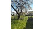 Bungalow Straubing - 4 Zimmer, 150 m&sup2;, 950&euro; | Angebot:26214043