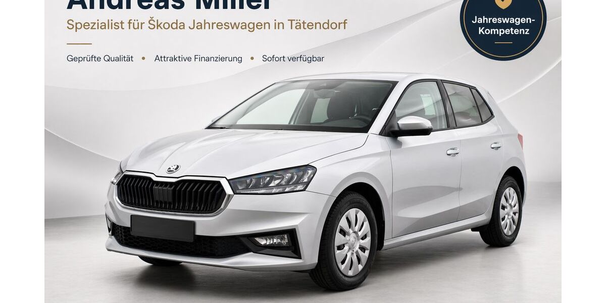 Skoda Fabia 19.980 km 16.390 &euro; Tätendorf 29576