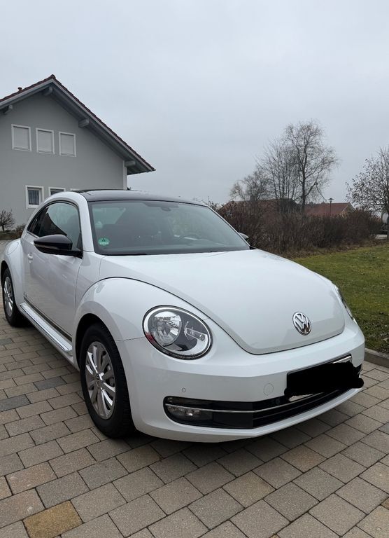 Beetle