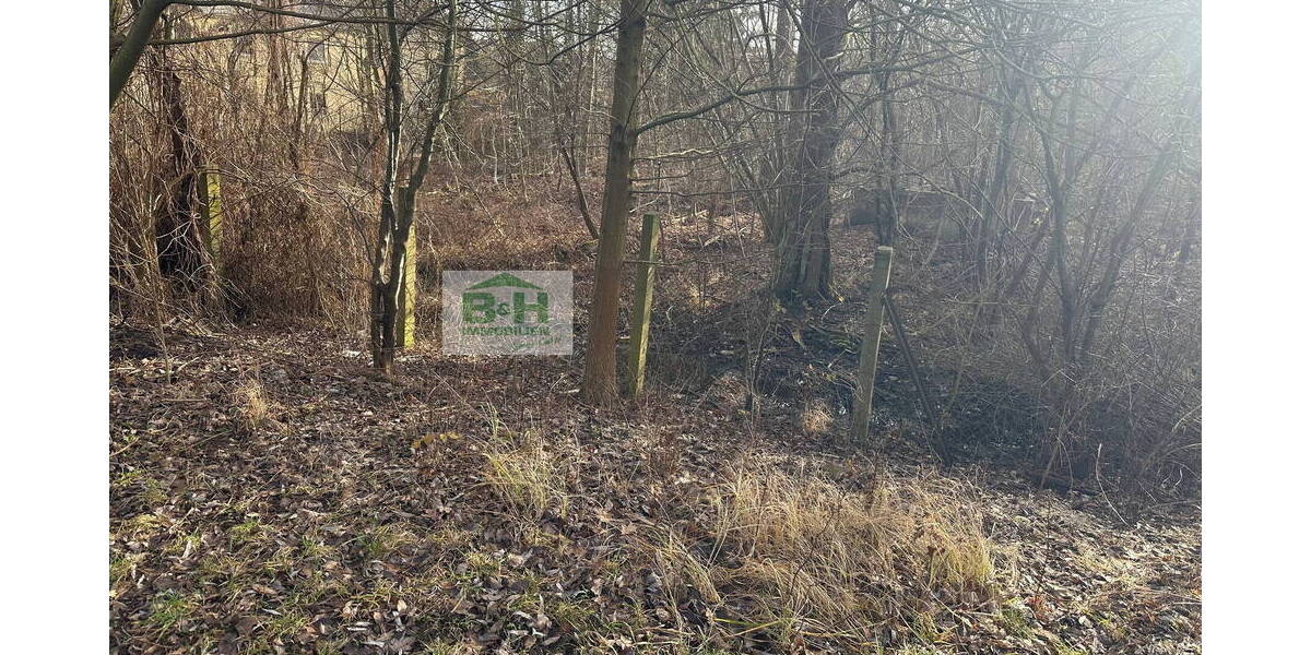 Grundstück Bitterfeld-Wolfen Holzweißig - 39.900&euro; | Angebot:25727896