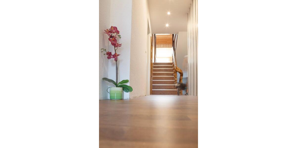 Maisonettenwohnung Großmaischeid - 5 Zimmer, 151 m&sup2;, 1.000&euro; | Angebot:26115428