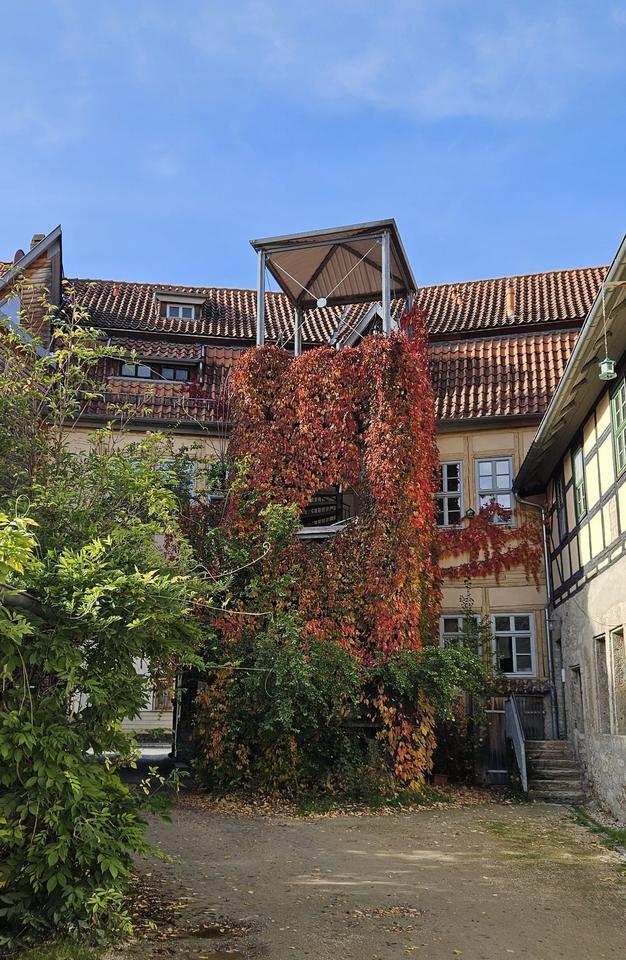 Charmante 2-Zimmer-Wohnung im Herzen von Bad Langensalza zimmer