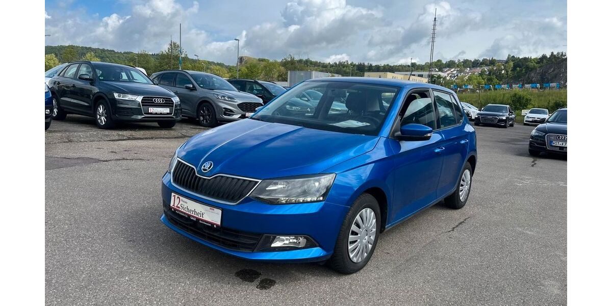 Skoda Fabia 118.000 km 7.900 &euro; Blaustein 89134