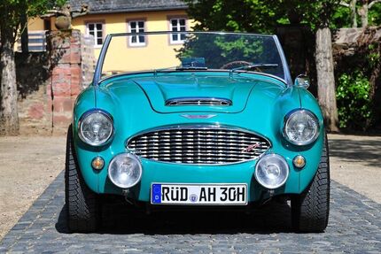 Austin Healey Andere