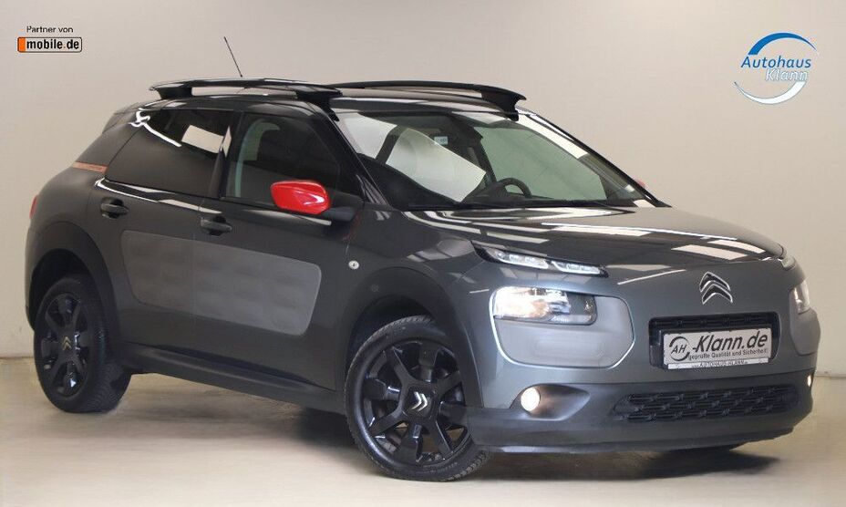 C4 Cactus