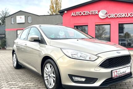 Ford Focus 41.356 km 13.999 &euro; Kabelsketal/OT Großkugel 06184
