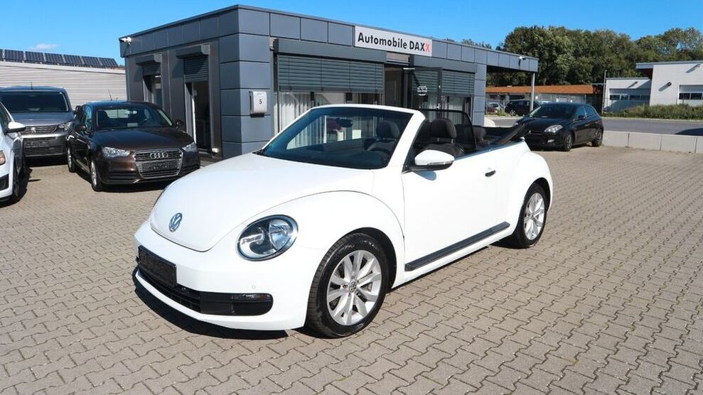 Beetle