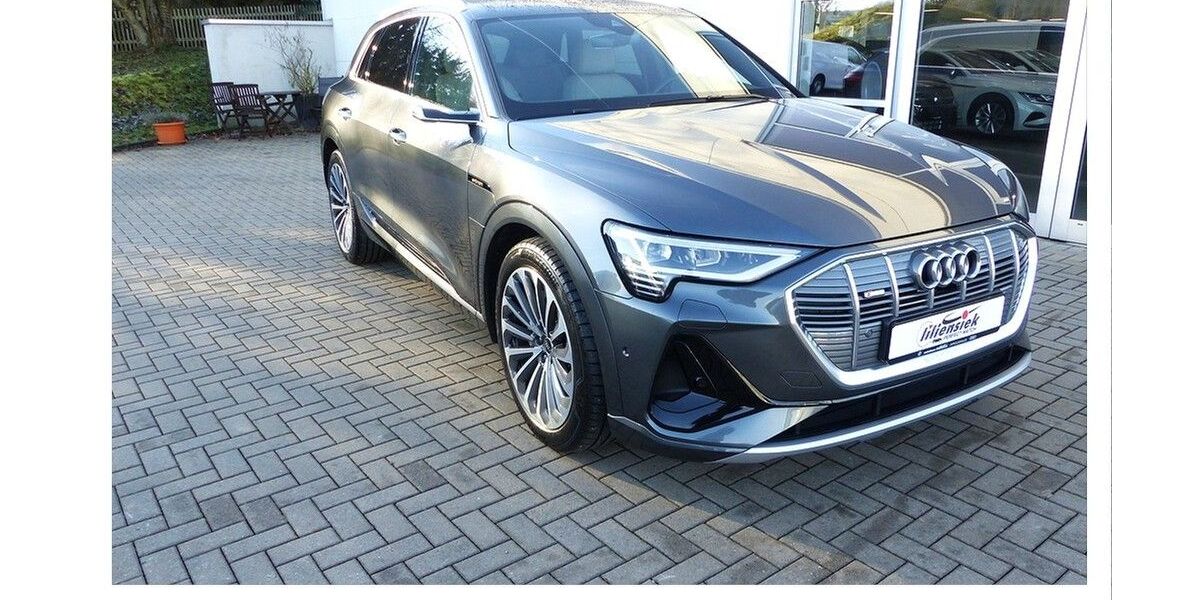 Audi e-tron 87.190 km 41.980 &euro; Dippoldiswalde 01744