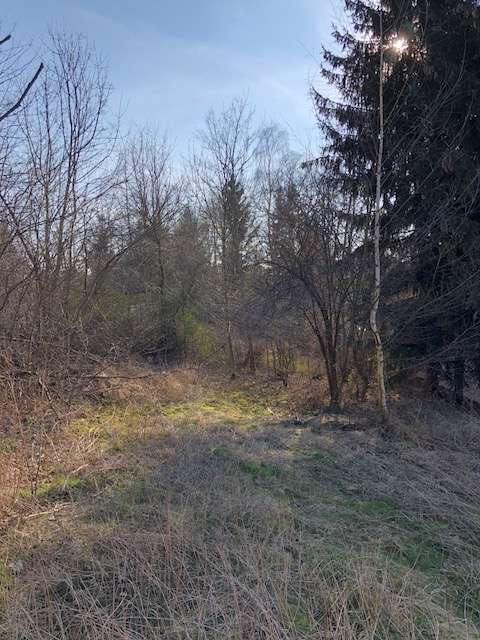 Grundstück zu verkaufen in Gößnitz 25.000 € 798 m²