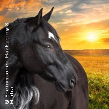 Ostwind - Live 05.04.2026 Dultplatz am Europakanal