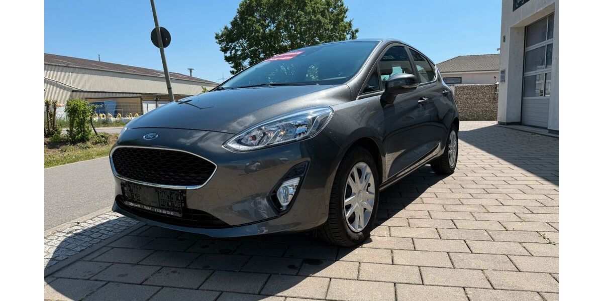 Ford Fiesta 120.000 km 7.490 &euro; Maxdorf 67133